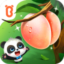 世体：巴萨今日恢复训练，霍安